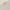 18K Gold Plated Zircon Drop Hoop Earrings for Women – 316 Stainless Steel