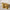 Auriel – Anti Tarnish Bold Sculpted Gold Hoop Earrings