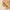 Auriel – Anti Tarnish Bold Sculpted Gold Hoop Earrings