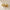 Auriel – Anti Tarnish Bold Sculpted Gold Hoop Earrings