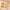 Bow & Butterfly Gold Set — Anti-Tarnish Earrings + Bracelet Combo