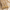 Pearl Glow Luxe Set — Anti-Tarnish Necklace + 2 Earring Pairs Combo