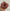 Pastel Shade Organza Scrunchie, Delicate Hair Accessory